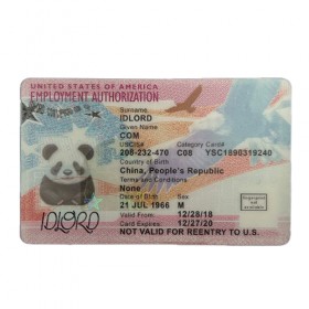 Employment Authorization Card